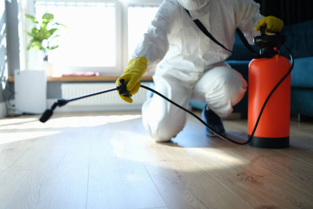 Trusted Sewage Cleanup service in Weirsdale, FL - Four Month Blood Cleanse
